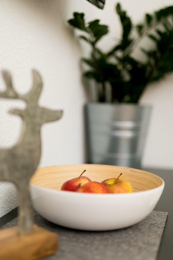Easy Living Apartment Oetztal ザウテンス エクステリア 写真