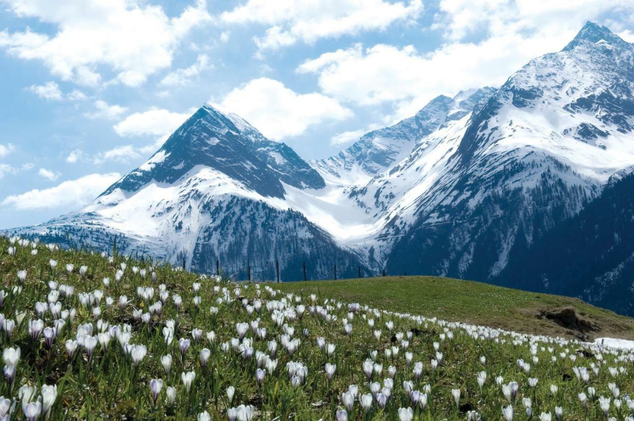 Easy Living Apartment Oetztal ザウテンス エクステリア 写真