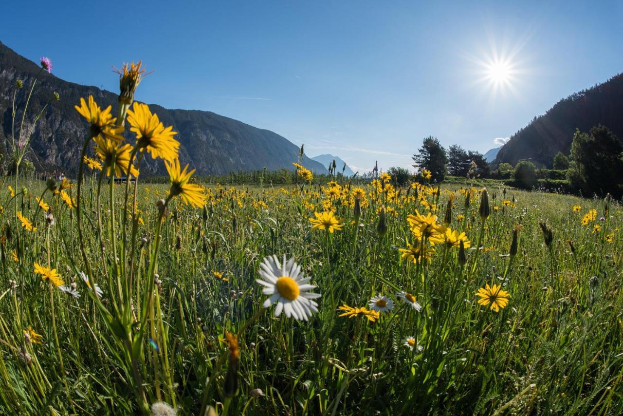 Easy Living Apartment Oetztal ザウテンス エクステリア 写真